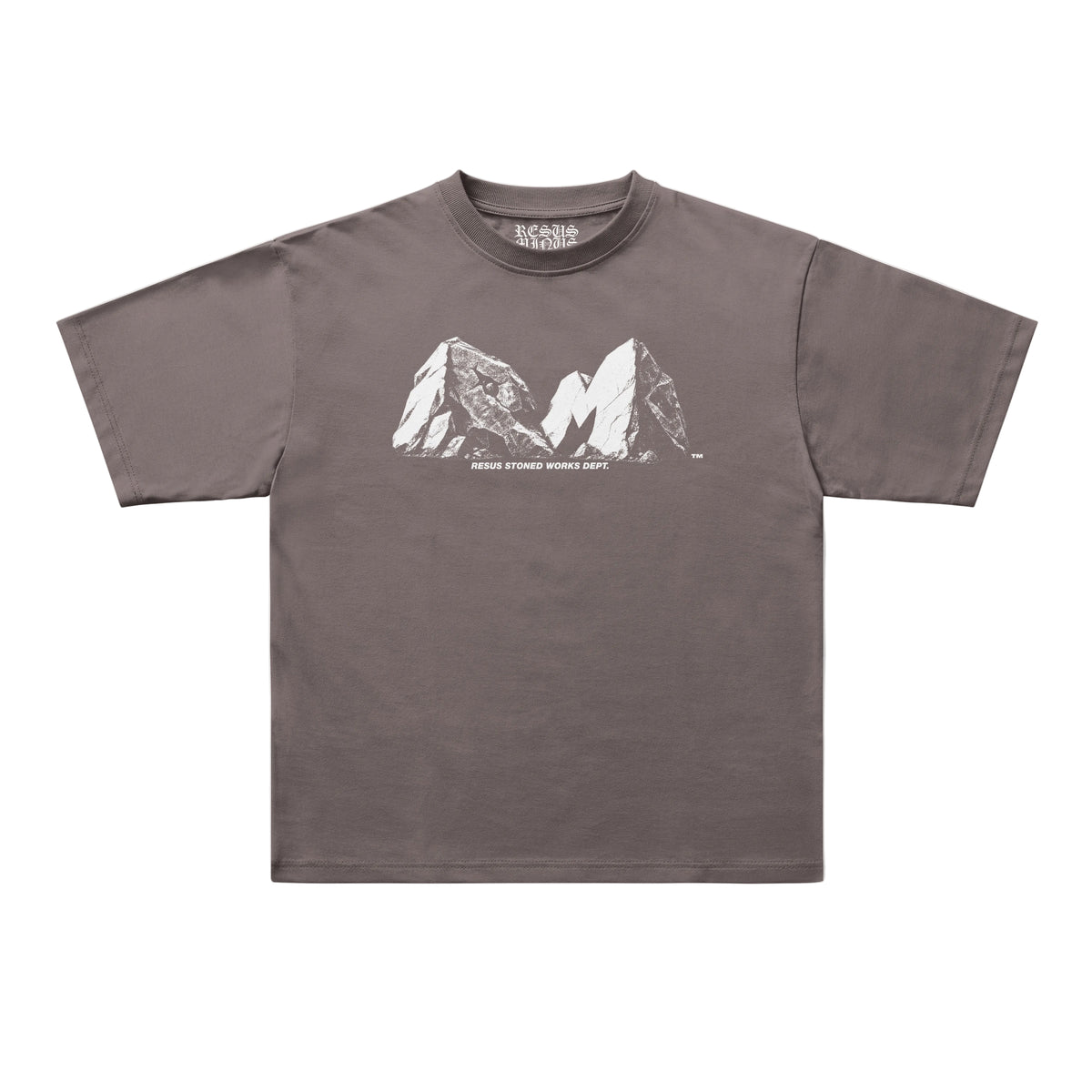 A dark brownish-gray short-sleeve t-shirt with a white graphic of two mountain peaks and the text 'MORNING STORMS BRUSH SHORE' printed on the chest, displayed flat against a light gray background.